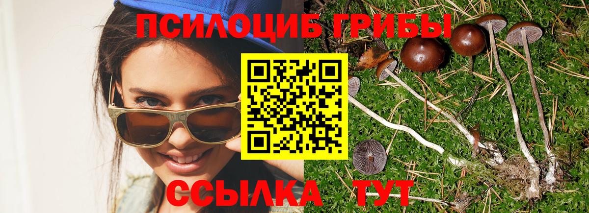 купить закладку  Галлюциногенные грибы прущие грибы  Вход с VPN  Россошь 